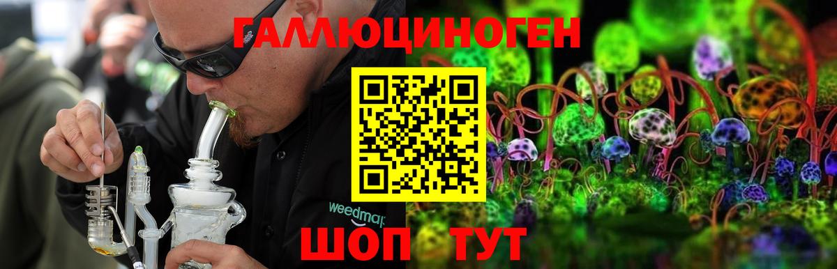Верхняя Салда  Галлюциногенные грибы GOLDEN TEACHER  Псилоцибиновые грибы Psilocybine cubensis  Вход с VPN 